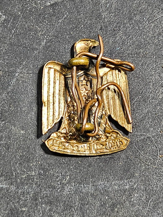 Vintage Iraqi Metal Golden Eagle Pin Badge Vintage Military Pin, Military Uniforms, David's Antiques and Oddities