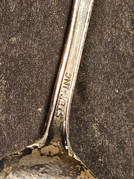 Souvineer spoon with swastiker /sterling 1930s USA