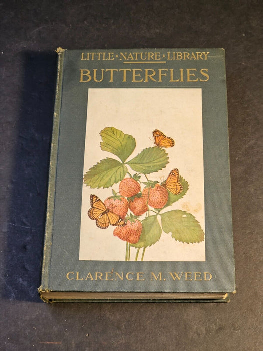 Butterflies worth knowing Clarence M. Weed 1923 /282 p/illustrations
