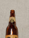 Maccabee  Beer Bottle empty imported from Israel/9.5 inches tall/ unique, Antiques, David's Antiques and Oddities