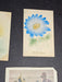 8 Early 1900s postcards 3x5 floral and historical images, Antiques, David's Antiques and Oddities