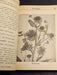 Audels gardeners and growers guide 1948 /599 pgs/illustrated, Antiques, David's Antiques and Oddities