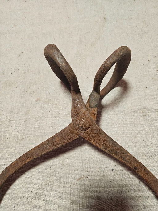 ice tongs 12 " Aish Country Pa as found /primitive, Antiques, David's Antiques and Oddities