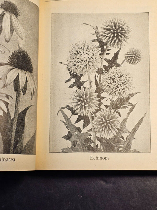 Audels gardeners and growers guide 1948 /599 pgs/illustrated, Antiques, David's Antiques and Oddities