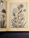 Audels gardeners and growers guide 1948 /599 pgs/illustrated, Antiques, David's Antiques and Oddities