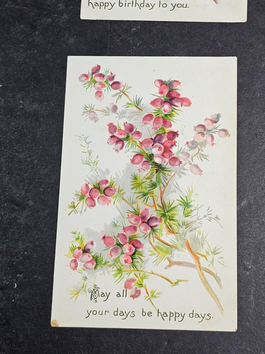 Raphael Tuck floral set of 5 early 1900s Beautiful Graphics 3x5, Antiques, David's Antiques and Oddities