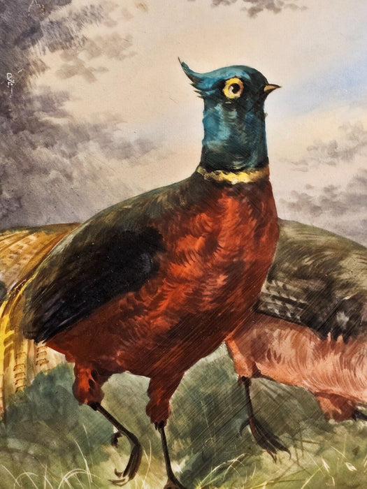 Limoges plate 13 " hand painted pheasants/wild life series/see pics/rich earth