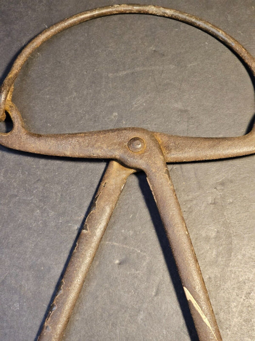 Primitive ice tongs 12 " farm fresh /great size / great construction/PA farm