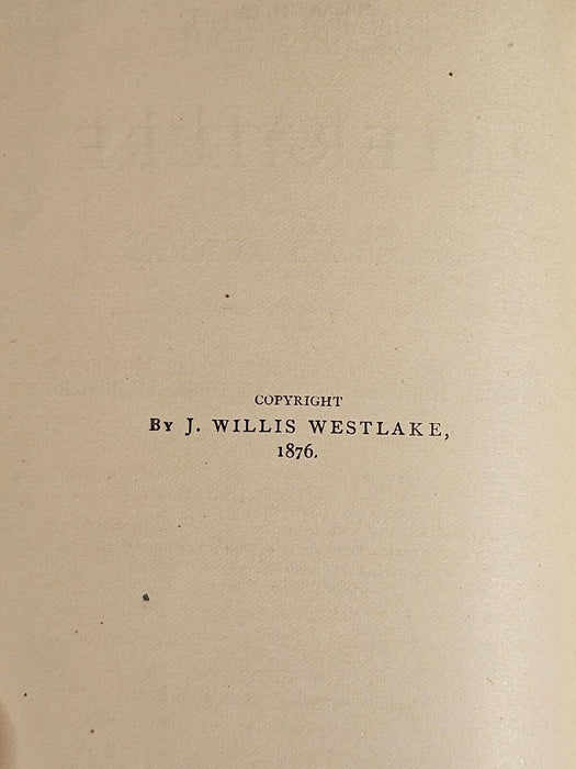 Early 1876 common school literature / DR.G.J.Wimmer Dentist Nazareth PA, Antiques, David's Antiques and Oddities