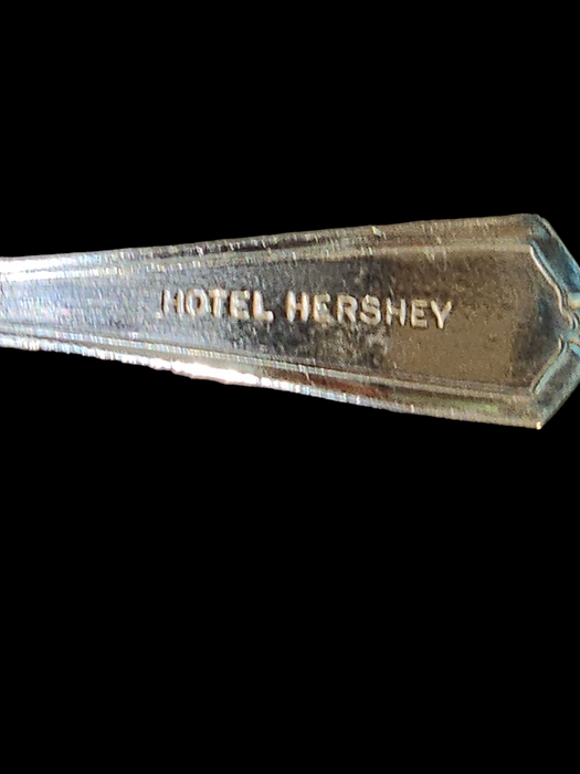 2  Hotel Hershey spoons 4.5' and 7 ' plated, David's Antiques and Oddities