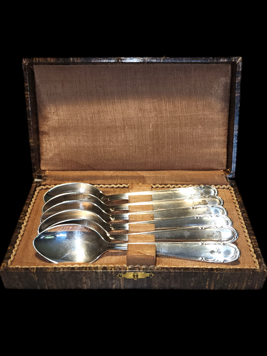 Africa Core 6 spoons palm tree and swastika marked Bavaria silver plate original faux grained box, David's Antiques and Oddities