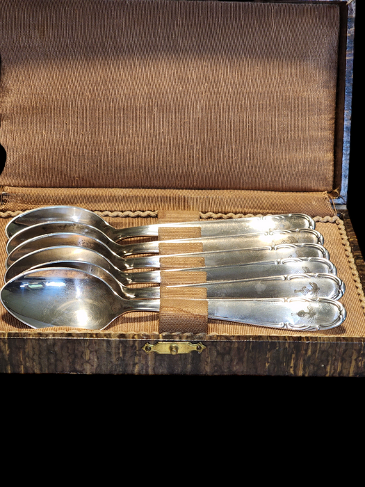 Africa Core 6 spoons palm tree and swastika marked Bavaria silver plate original faux grained box, David's Antiques and Oddities