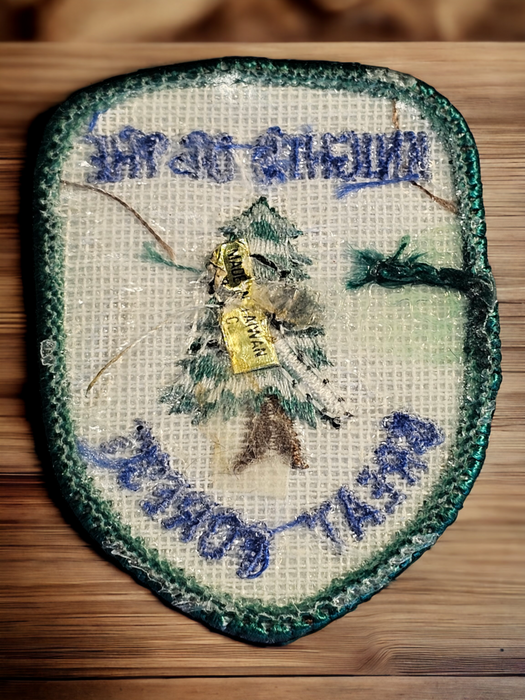 Title: Knights of the Ku Klux Klan "Knights of the great forest" Rare Merit Patch. with cert. card. Knight 2.25" x 1.75" Green,white and blue with cross and tree., David's Antiques and Oddities