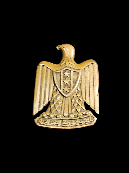 Vintage Iraqi Metal Golden Eagle Pin Badge Vintage Military Pin, Military Uniforms, David's Antiques and Oddities