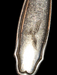 WW2 set of 6 Luftwaffe  tea spoons