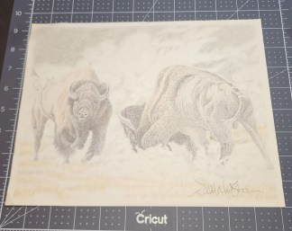 Prison Art Buffalos Artist Scott Mastrom 2012