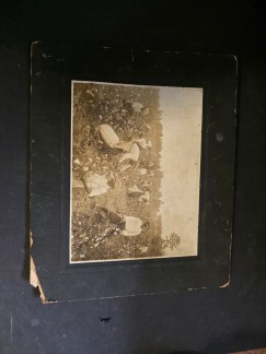 African american photo 6 x9 has some cracking Image clear